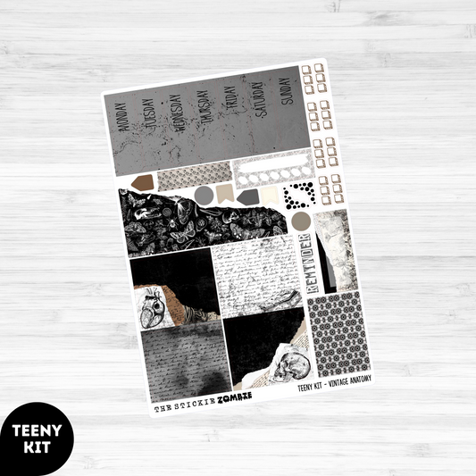 Teeny Vertical Kit / Vintage Anatomy
